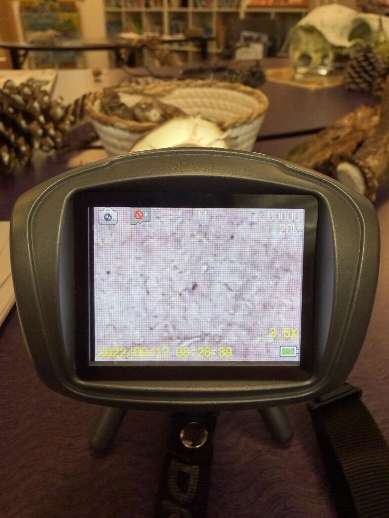 This image has an empty alt attribute; its file name is IMG_0639-768x1024.jpeg